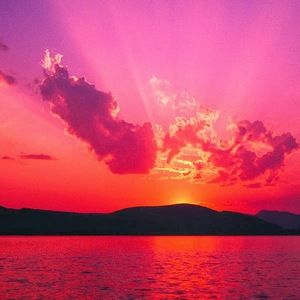 Meet your Posher, Love